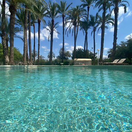 Pink Lemon House Bed & Breakfast Elche Eksteriør bilde