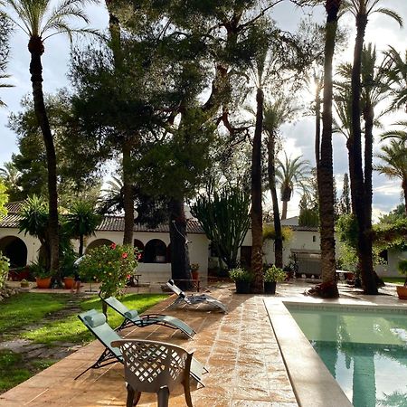Pink Lemon House Bed & Breakfast Elche Eksteriør bilde