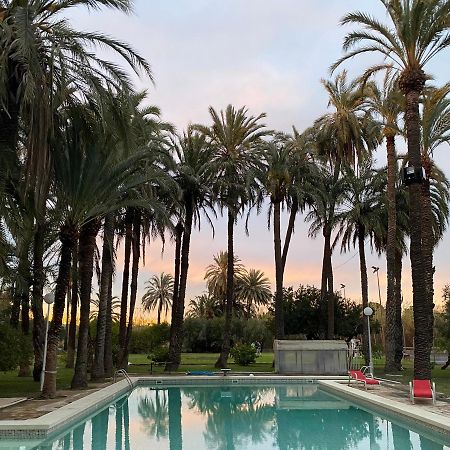 Pink Lemon House Bed & Breakfast Elche Eksteriør bilde