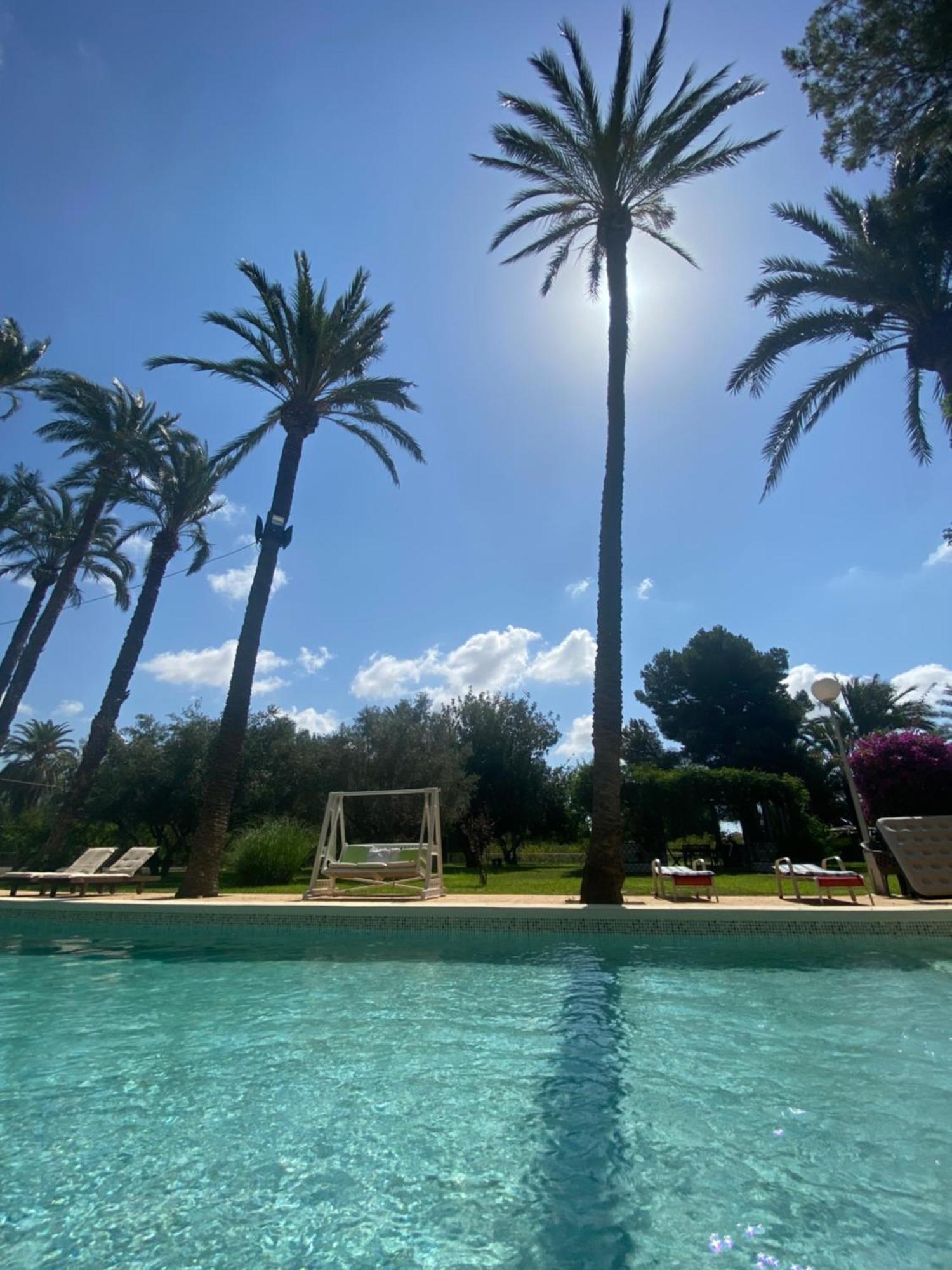 Pink Lemon House Bed & Breakfast Elche Eksteriør bilde