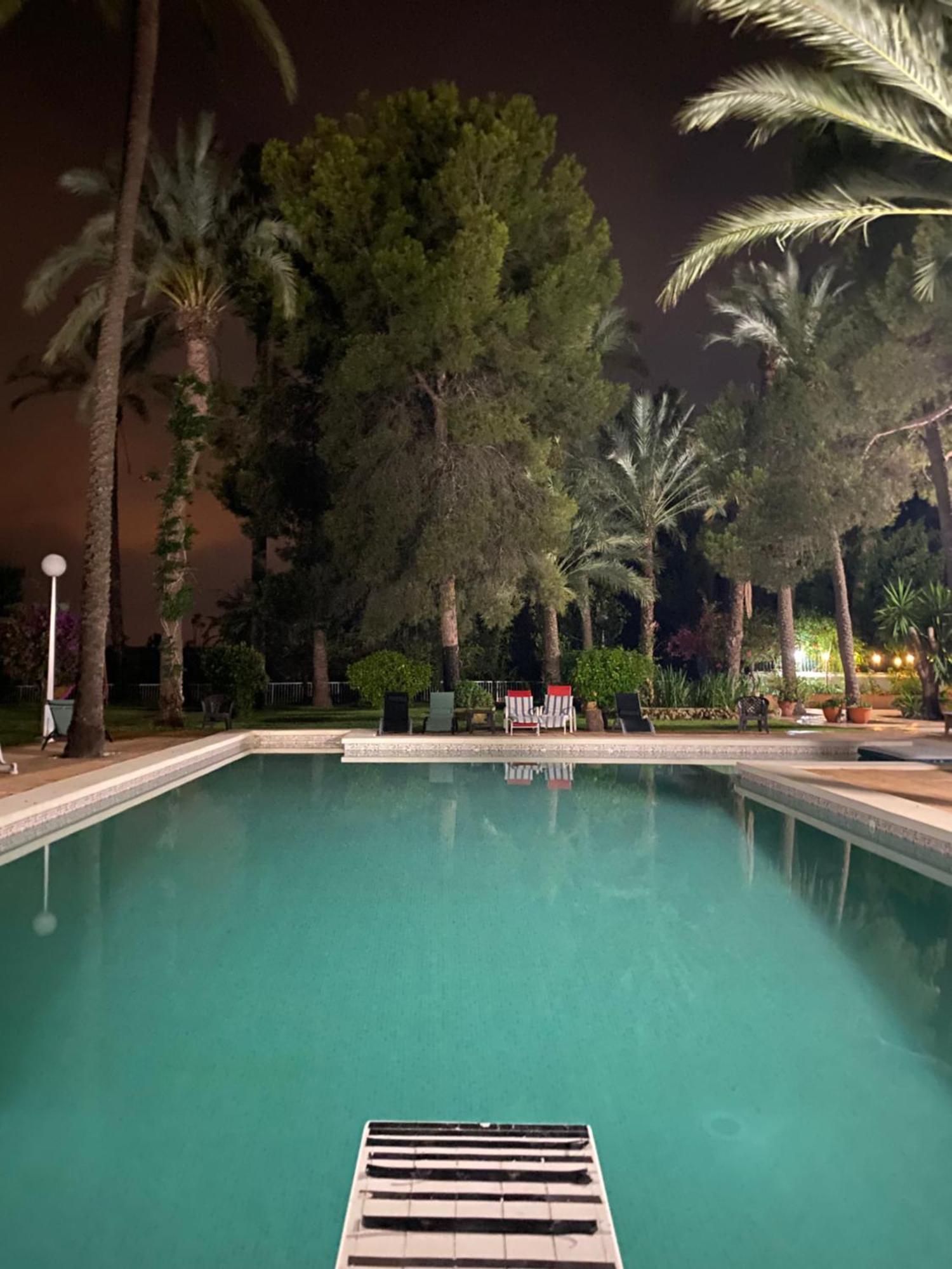 Pink Lemon House Bed & Breakfast Elche Eksteriør bilde