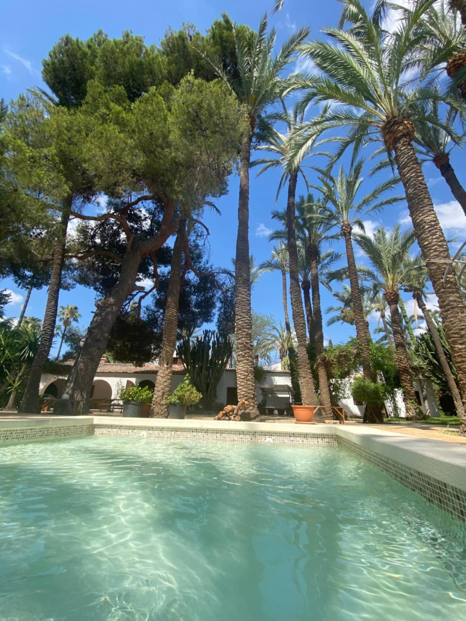 Pink Lemon House Bed & Breakfast Elche Eksteriør bilde