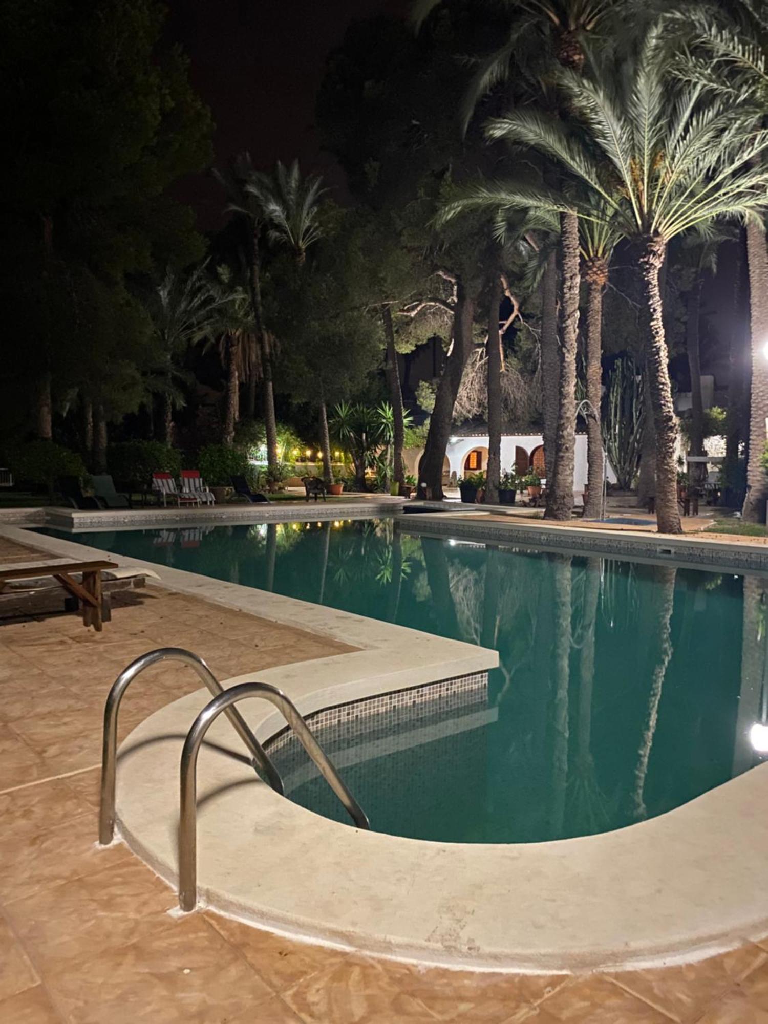 Pink Lemon House Bed & Breakfast Elche Eksteriør bilde
