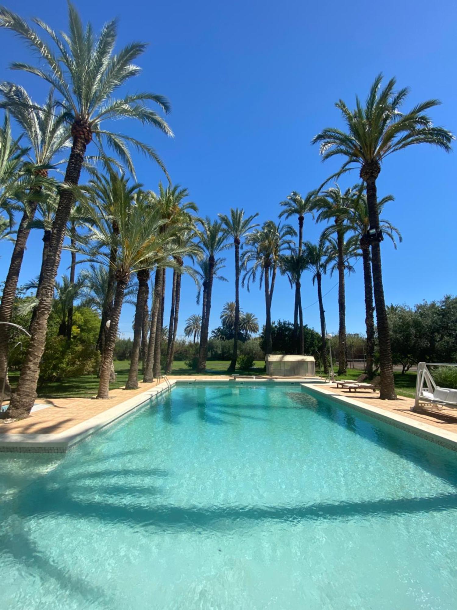 Pink Lemon House Bed & Breakfast Elche Eksteriør bilde