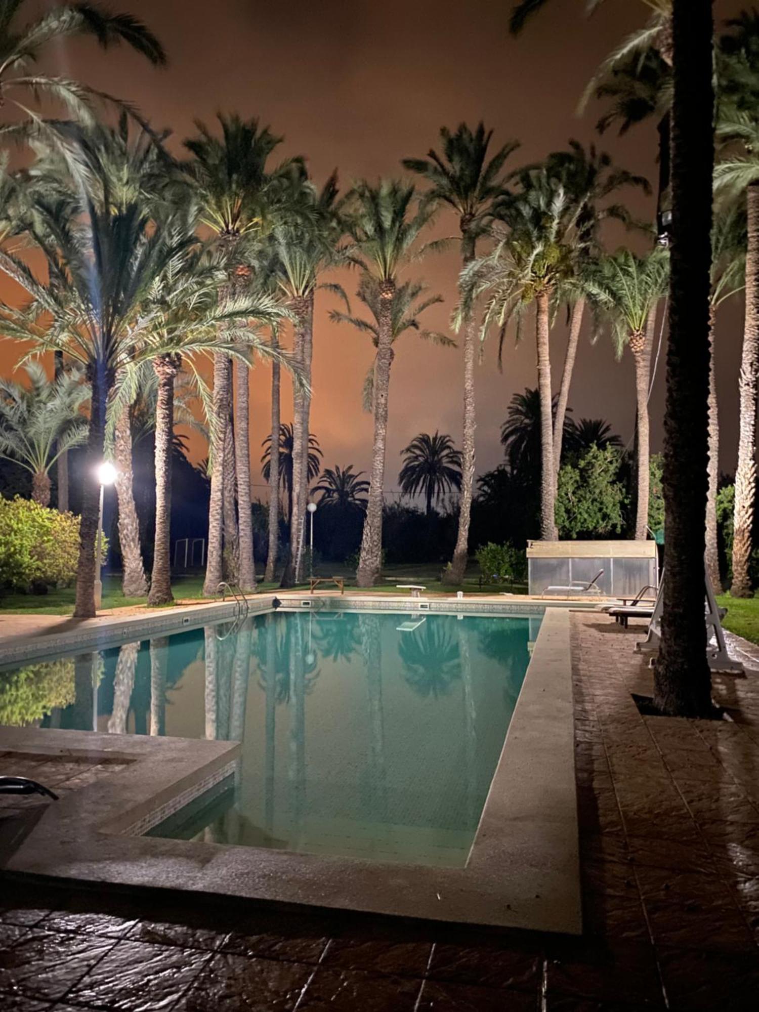 Pink Lemon House Bed & Breakfast Elche Eksteriør bilde