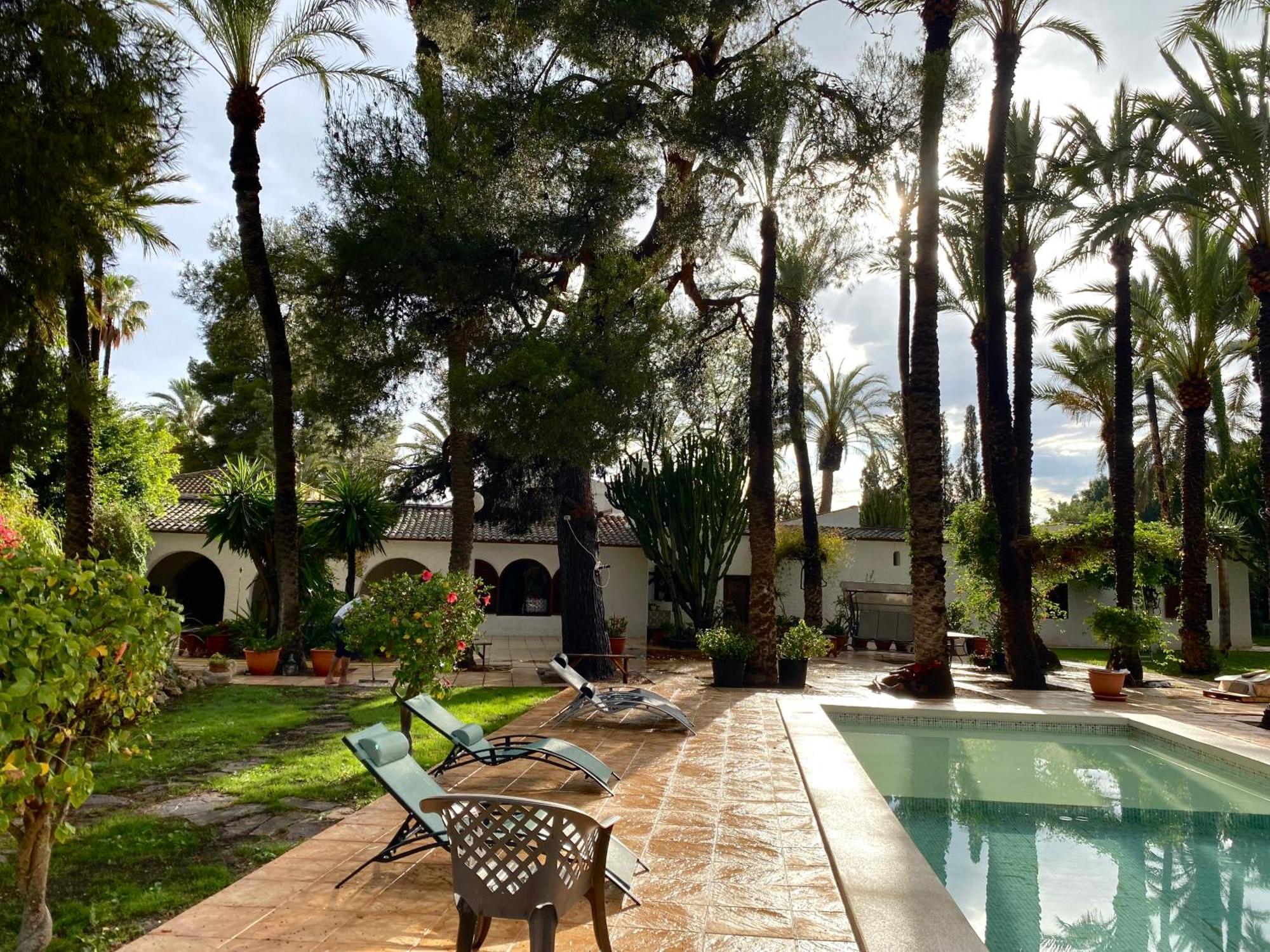 Pink Lemon House Bed & Breakfast Elche Eksteriør bilde