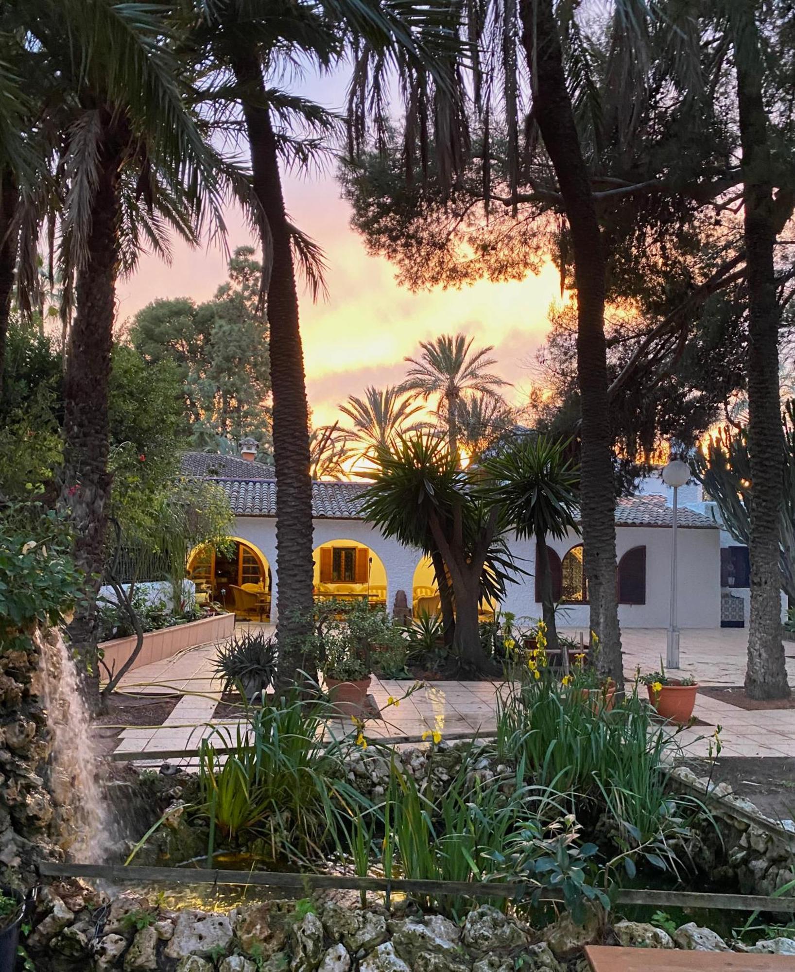 Pink Lemon House Bed & Breakfast Elche Eksteriør bilde