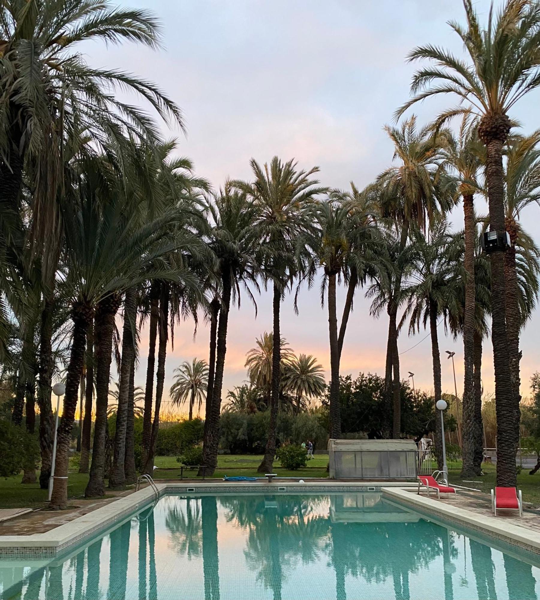 Pink Lemon House Bed & Breakfast Elche Eksteriør bilde