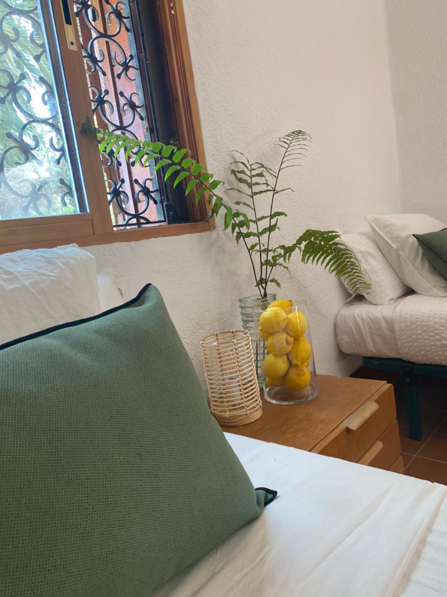 Pink Lemon House Bed & Breakfast Elche Eksteriør bilde