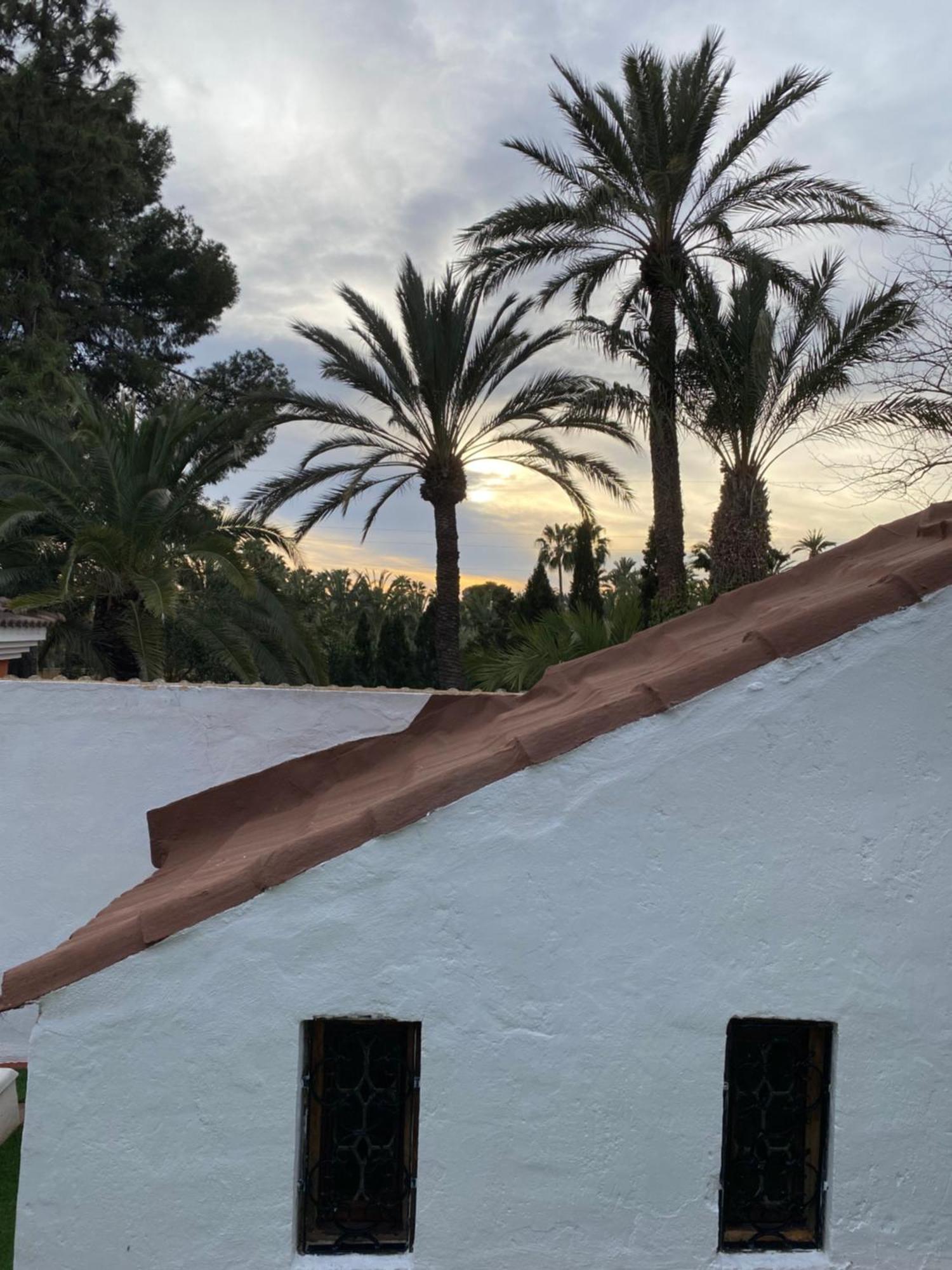 Pink Lemon House Bed & Breakfast Elche Eksteriør bilde