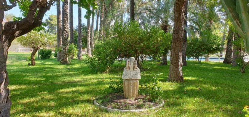 Pink Lemon House Bed & Breakfast Elche Eksteriør bilde