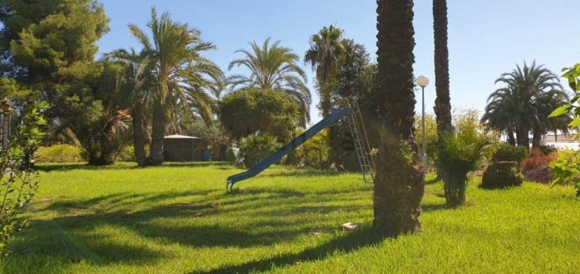 Pink Lemon House Bed & Breakfast Elche Eksteriør bilde