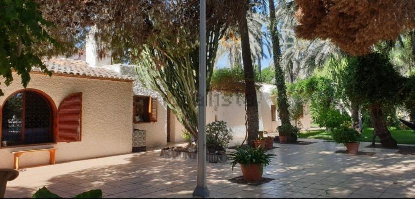 Pink Lemon House Bed & Breakfast Elche Eksteriør bilde