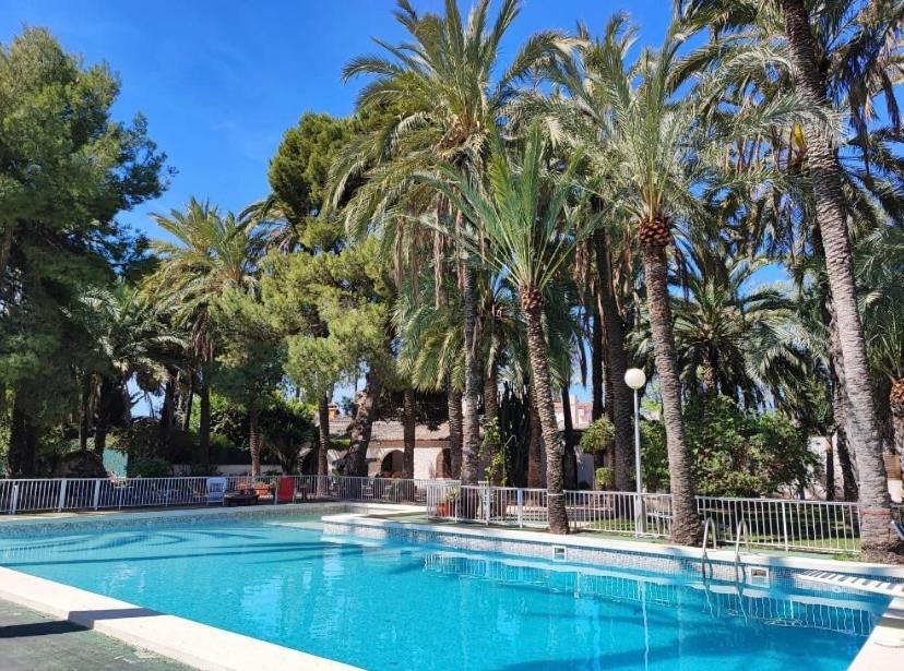 Pink Lemon House Bed & Breakfast Elche Eksteriør bilde