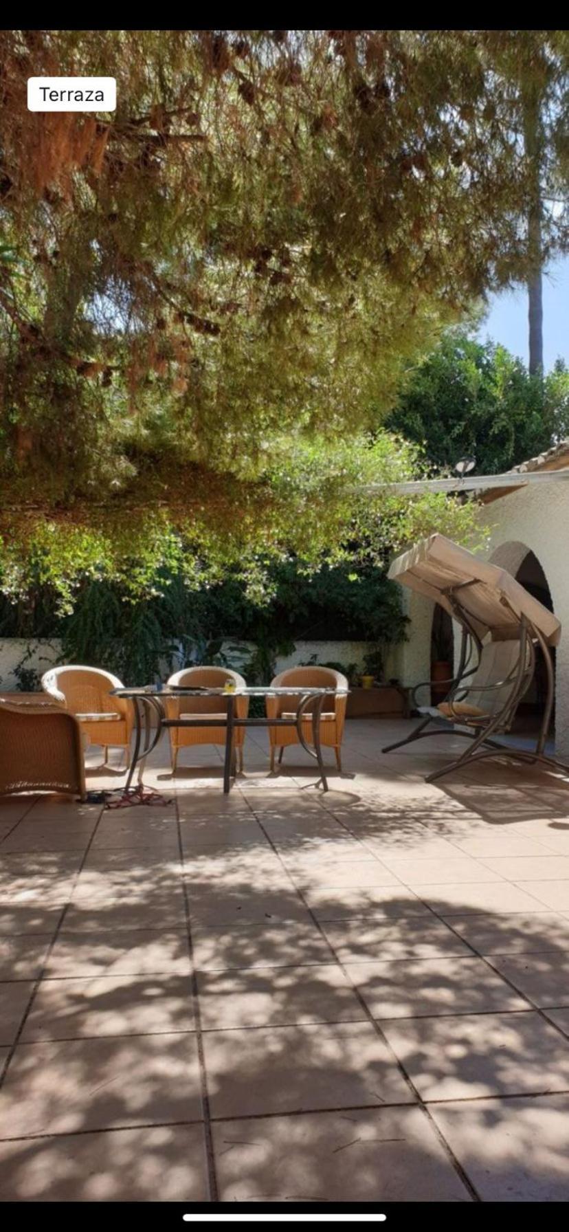 Pink Lemon House Bed & Breakfast Elche Eksteriør bilde
