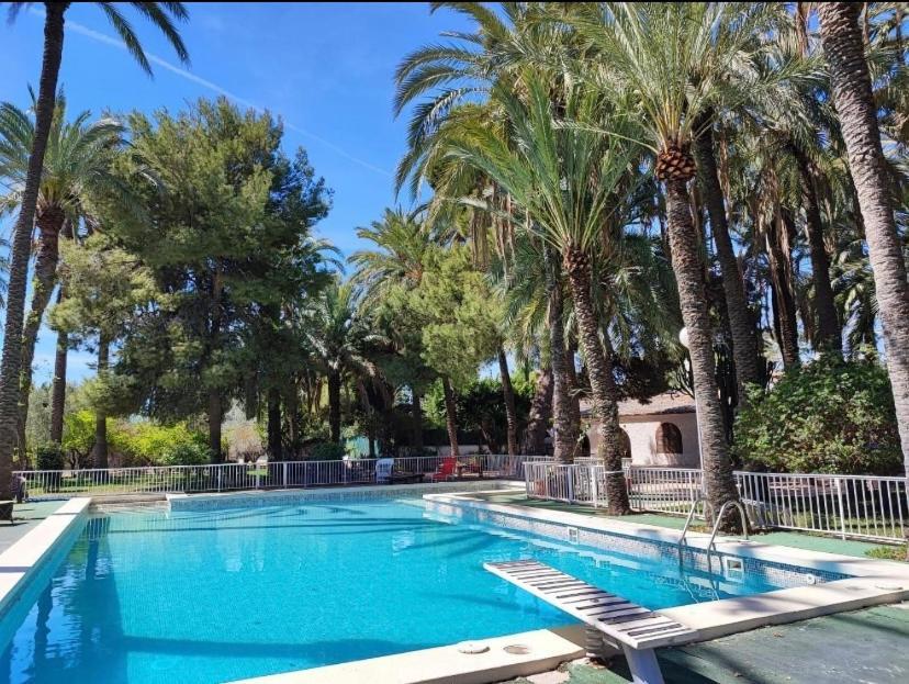 Pink Lemon House Bed & Breakfast Elche Eksteriør bilde