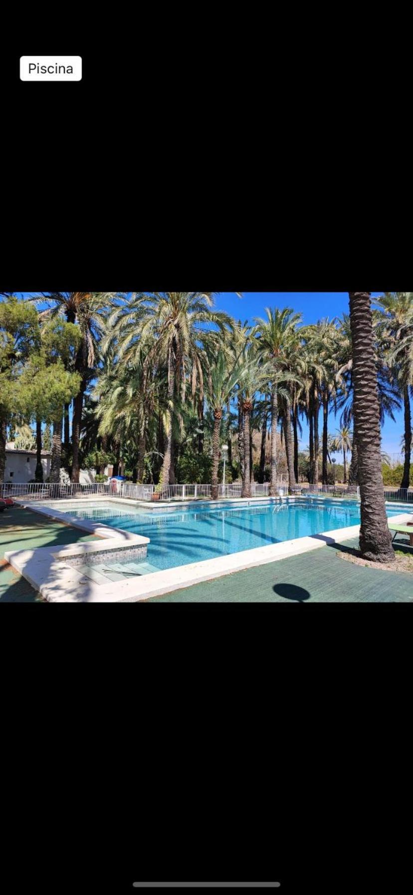 Pink Lemon House Bed & Breakfast Elche Eksteriør bilde