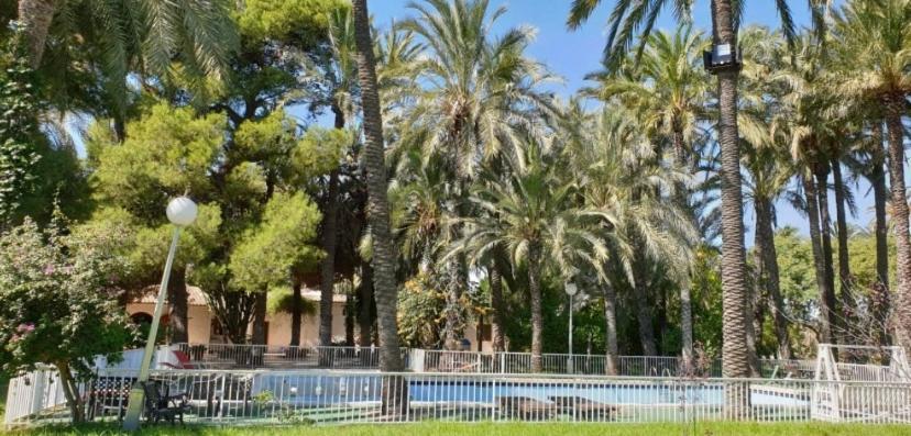 Pink Lemon House Bed & Breakfast Elche Eksteriør bilde