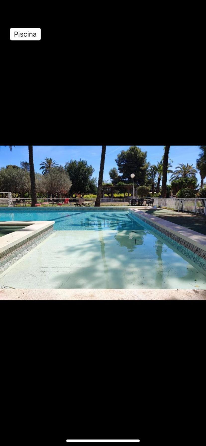 Pink Lemon House Bed & Breakfast Elche Eksteriør bilde