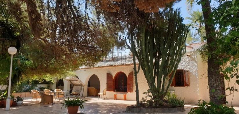 Pink Lemon House Bed & Breakfast Elche Eksteriør bilde