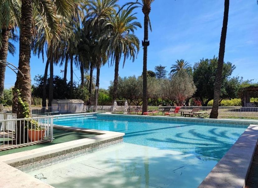 Pink Lemon House Bed & Breakfast Elche Eksteriør bilde