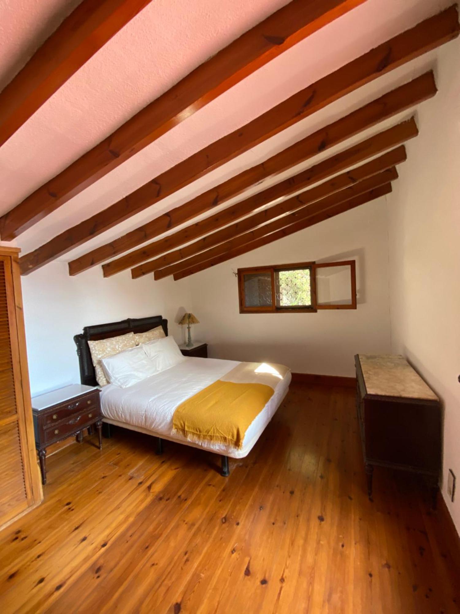 Pink Lemon House Bed & Breakfast Elche Eksteriør bilde